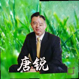 唐锐